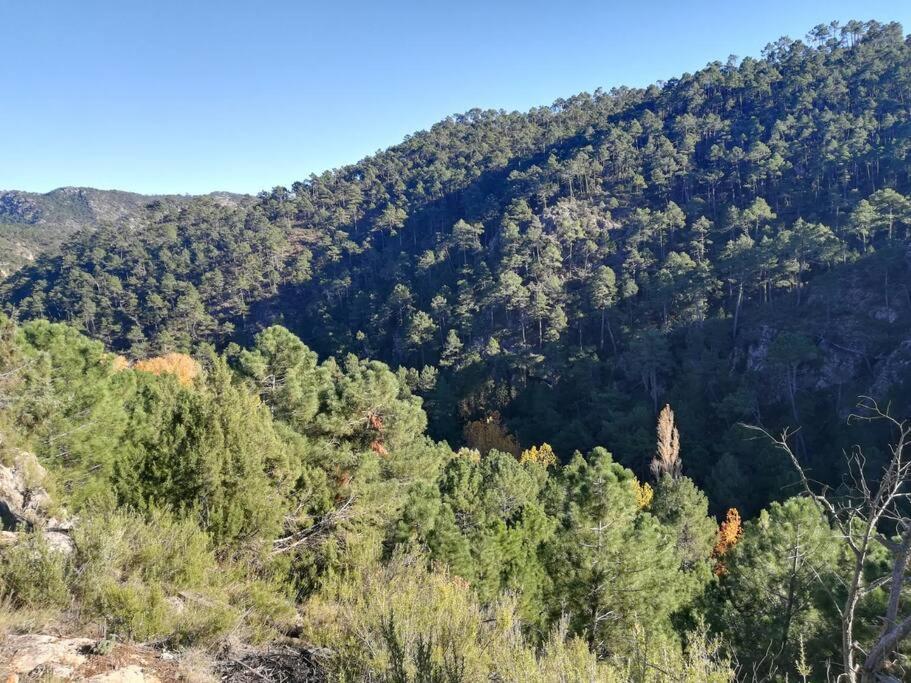 El Quejigo