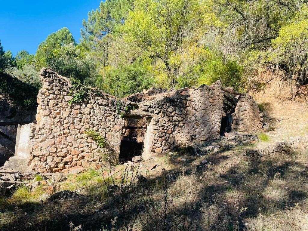 El Quejigo * Molinicos